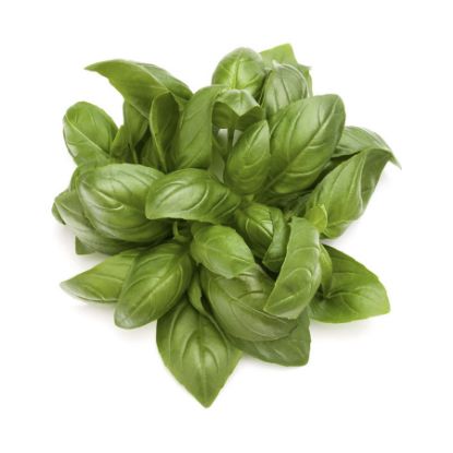 Picture of Fresh Greek Basil 25gr