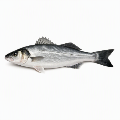 Picture of Seabass (2 x 200gr fillets in vacuum)