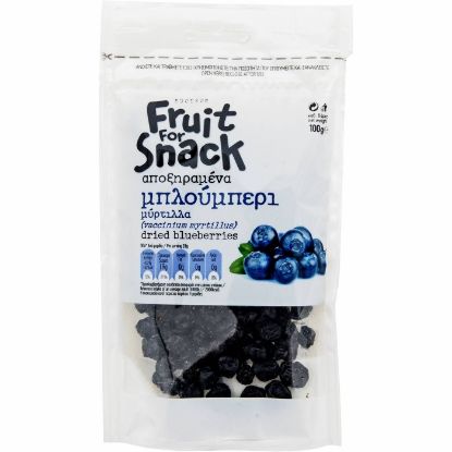 American dried blueberries (100g)