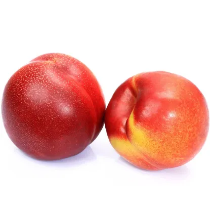 Picture of Nectarines 1kg