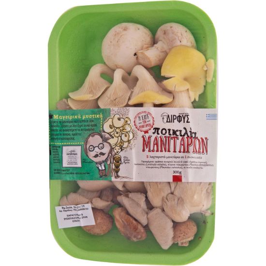 Bild von Frische Pilzmischung (300gr)